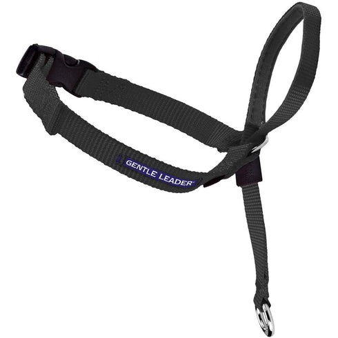 PetSafe Gentle Leader Headcollar Large Black - Poudre Pet and Feed Supply